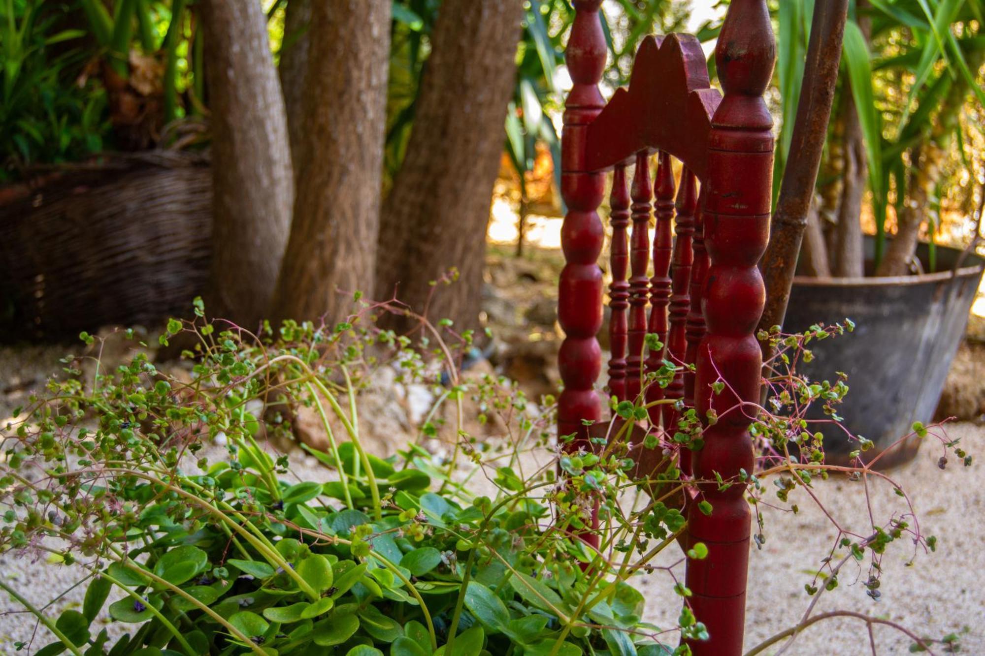 Alojamiento Rural Las Acacias Cabra Ngoại thất bức ảnh